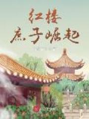 红楼：庶子崛起